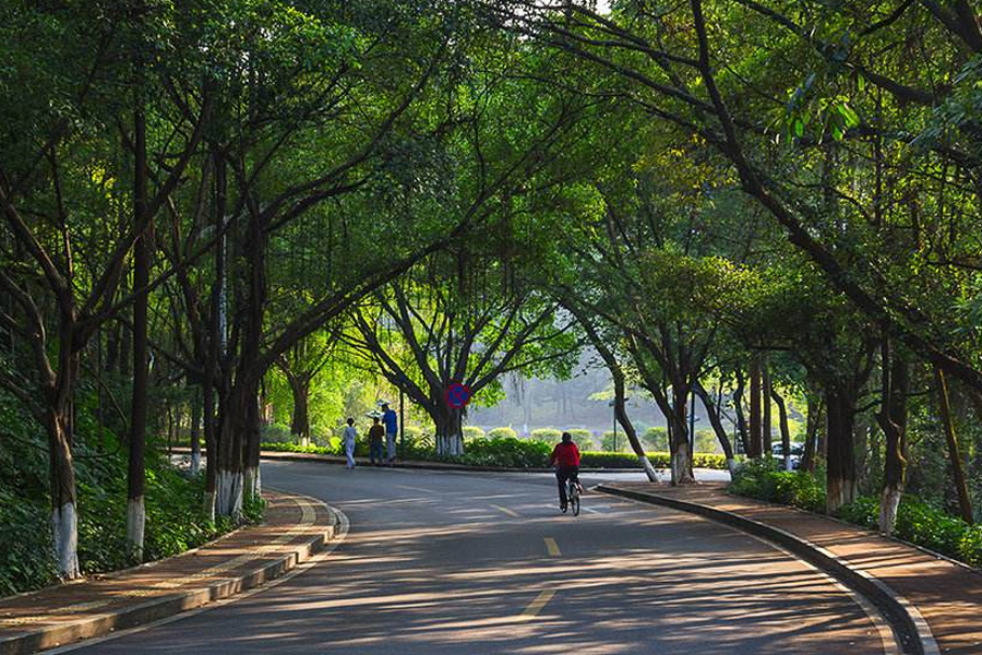 走過的這些日子